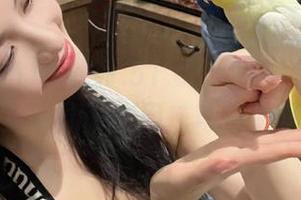 www.51.com网站食瓜者的安卓导航使用技巧与推荐