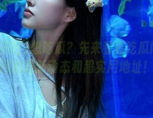 想吃瓜？先来看看吃瓜网红官网的最新动态和超实用地址！