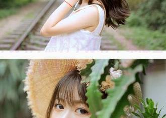 黑料不打样苹果版登录攻略，轻松享受美味瓜果大餐